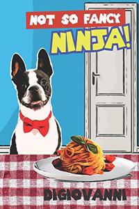 Not So Fancy Ninja