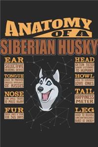 Anatomy Of A Siberian Husky