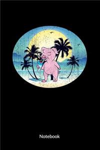 Pig Notebook