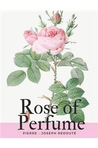Rose of Perfume