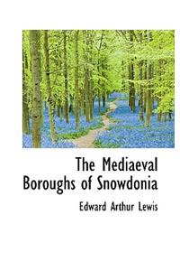 The Mediaeval Boroughs of Snowdonia