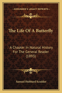 Life Of A Butterfly