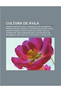 Cultura de Avila