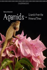 Agamids - Lizards from the Primeval Times 2015