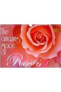 Amazing Grace of Roses 2018