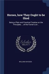 Horses, How They Ought to Be Shod