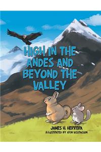 High in the Andes and Beyond the Valley