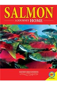 Salmon: A Journey Home