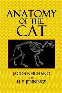 Anatomy of the Cat