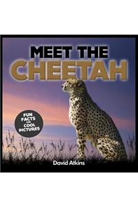 Meet The Cheetah