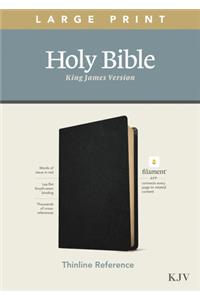 KJV Large Print Thinline Reference Bible, Filament Edition (Genuine Leather, Black)