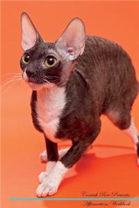 Cornish Rex Affirmations Workbook Cornish Rex Presents