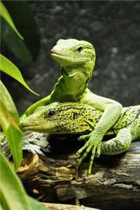 Two Yellow Spotted Tree Monitor Lizards Journal