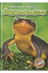 Salamanders