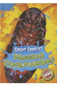 Hissing Cockroaches