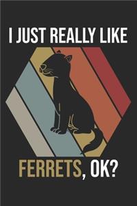 I Just Really Like Ferrets, OK?