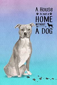 A House is Not a Home Without a Dog