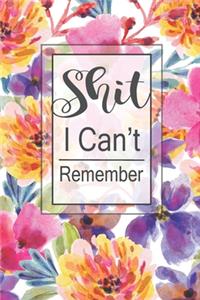 Shit I Can't Remember