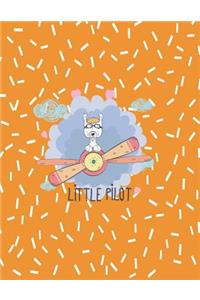 Little pilot