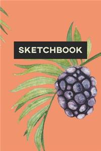 Sketchbook