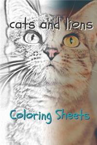 Cat and Lion Coloring Sheets