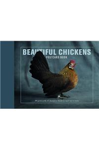 Beautiful Chickens Postcard Book