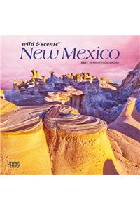 New Mexico Wild & Scenic 2021 Mini 7x7