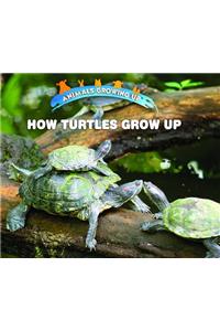 How Turtles Grow Up