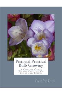 Pictorial Practical Bulb Growing: A Concise Guide To the Culture Of Bulbs and Tubers