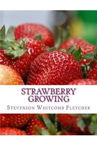 Strawberry Growing