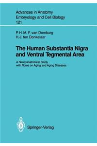 The Human Substantia Nigra and Ventral Tegmental Area