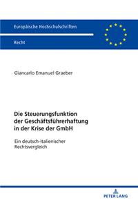 Die Steuerungsfunktion Der Geschaeftsfuehrerhaftung in Der Krise Der Gmbh