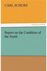 Report on the Condition of the South