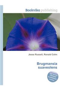 Brugmansia Suaveolens