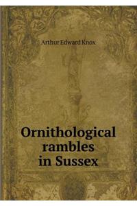 Ornithological Rambles in Sussex