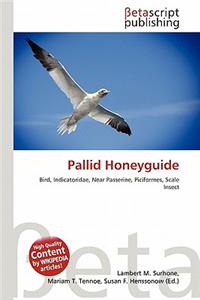 Pallid Honeyguide