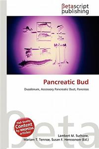 Pancreatic Bud