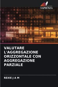 Valutare l'Aggregazione Orizzontale Con Aggregazione Parziale