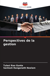 Perspectives de la gestion