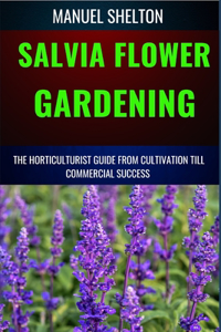 Salvia Flower Gardening Horticulturists Guide from Cultivation Till Commmercial Success