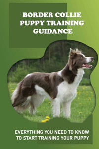 Border Collie Puppy Training Guidance