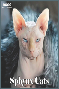 Sphynx Cats 2021 Wall Calendar