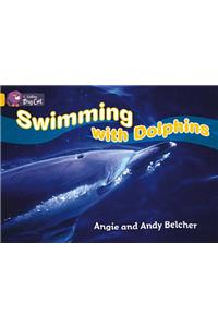 Swimming with Dolphins Workbook