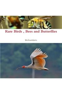 Rare Birds, Bees and Butterflies