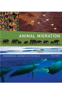 Animal Migration