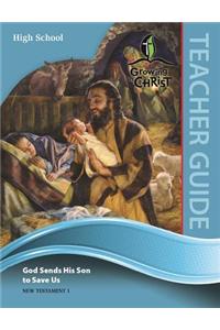 High School Teacher Guide (Nt1)