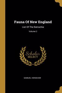 Fauna Of New England