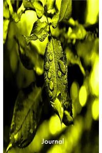 Journal