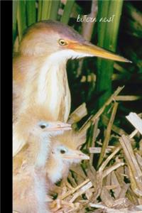 bittern nest