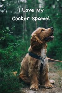 I Love My Cocker Spaniel